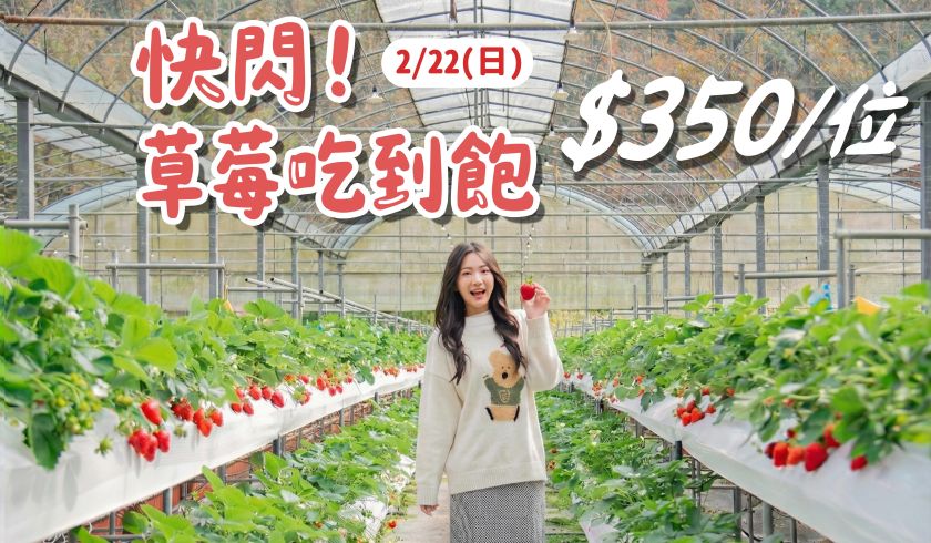 爆了~爆了~ 草莓吃到飽